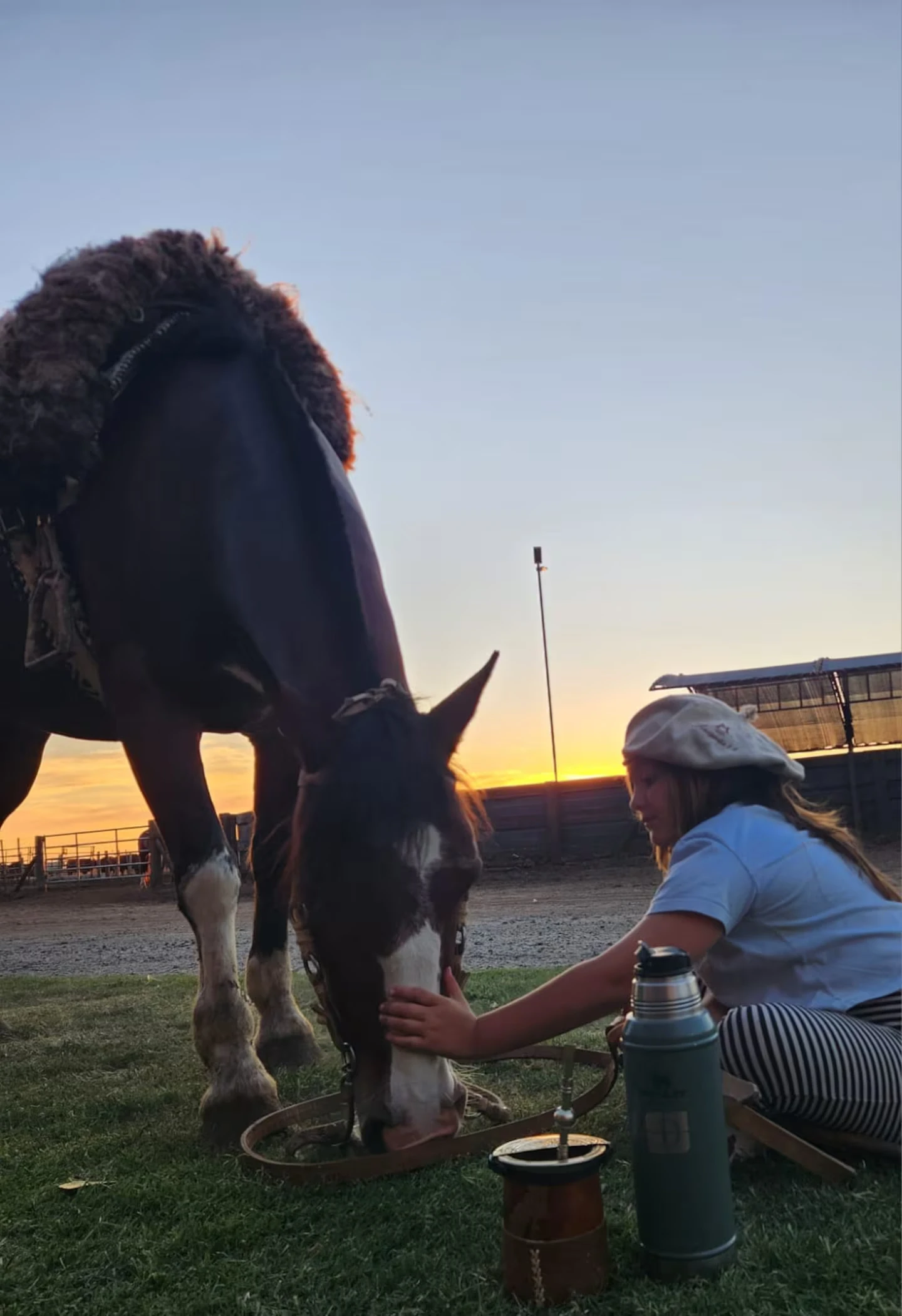 Indija ima 7 godina, otišla je na aukciju sa tatom i kupila svoje prve krave: „Moj san je da budem farmerka“ – image 1